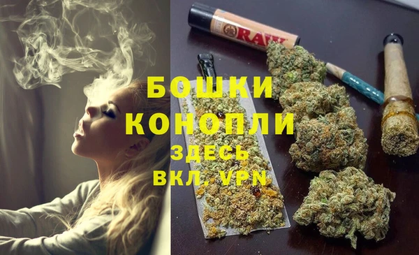 ешки Аркадак
