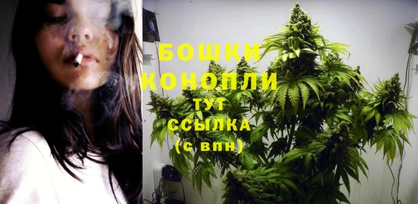 ПСИЛОЦИБИНОВЫЕ ГРИБЫ Протвино