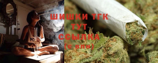 ешки Аркадак