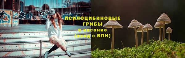 гидра Приозерск